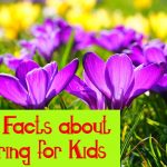 35+ Most Popular Facts about Spring for Kids