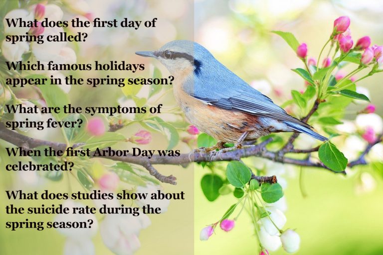 35+ Most Popular Facts about Spring for Kids