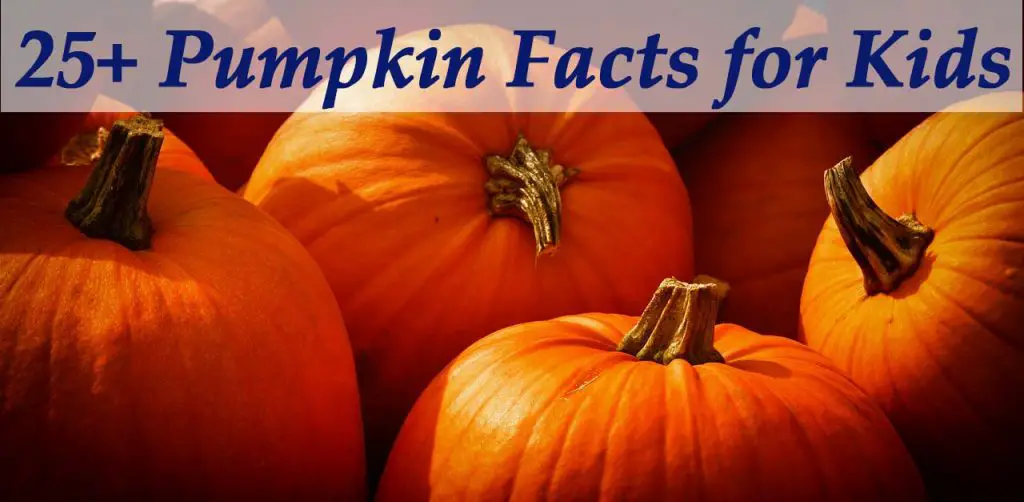 25-interesting-pumpkin-facts-for-kids