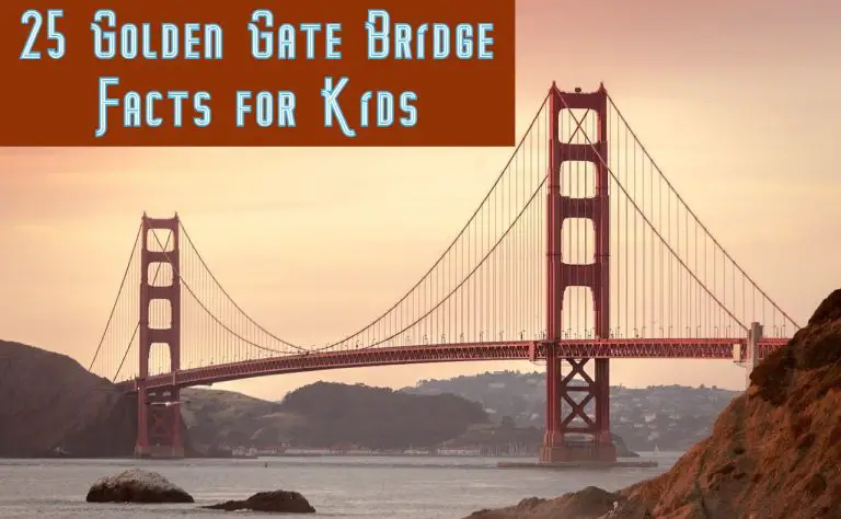 25 Amazing Golden Gate Bridge Facts To Know For Kids